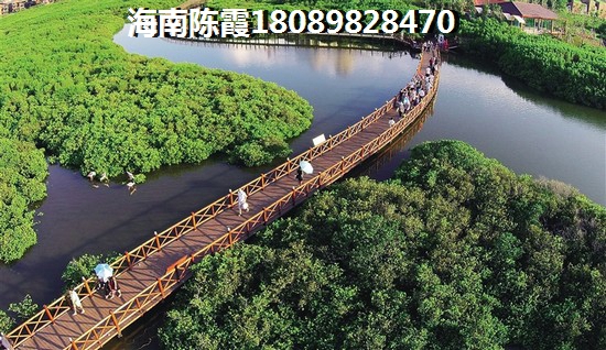 文昌高隆湾楼盘纸得买吗?