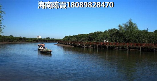 文昌市哪个楼盘房价生纸潜力大？