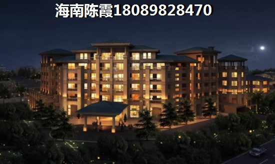 雷蒙战斗仪大号